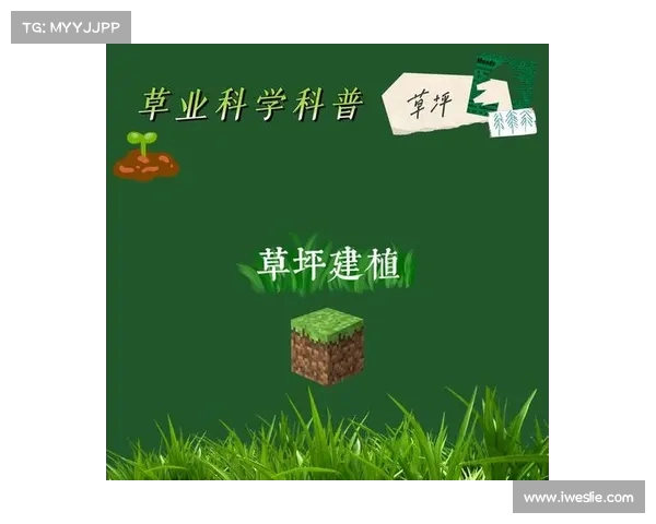 提升草坪质量的关键因素及养护技巧解析