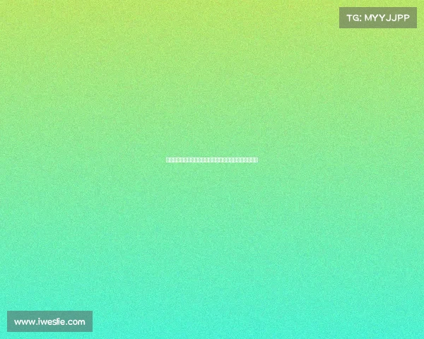 法甲联赛观众人数分析：球迷热情与赛事吸引力的深度探讨