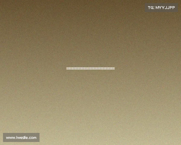 德甲球迷热爱足球背后的故事与激情：从球场到社交网络的球迷文化探索